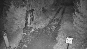 Snímek    3.11.2025 v 20:30