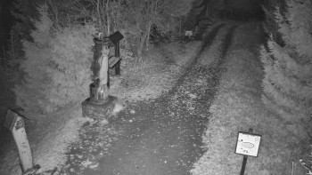 Snímek    3.11.2025 v 22:00