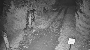 Snímek    4.11.2025 v 00:30