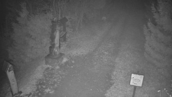 Snímek    4.11.2025 v 02:30