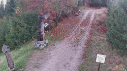 Bílá - běžecká trať