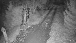 Bílá - běžecká trať