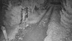 Bílá - běžecká trať