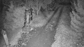 Snímek 5.11.2025 v 00:00