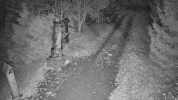 Snímek 5.11.2025 v 00:30