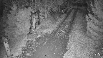 Snímek 5.11.2025 v 01:00