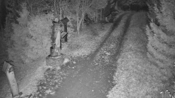 Snímek 5.11.2025 v 02:00