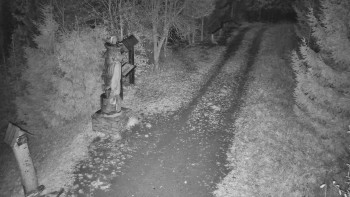 Snímek 5.11.2025 v 02:30