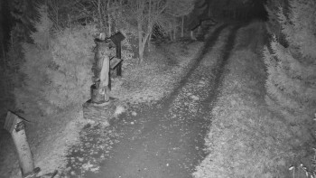 Snímek 5.11.2025 v 03:30