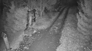 Snímek 5.11.2025 v 04:30