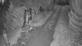 Snímek 5.11.2025 v 06:00