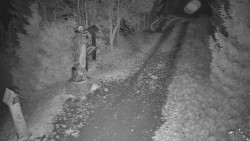 Bílá - běžecká trať