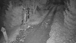 Bílá - běžecká trať