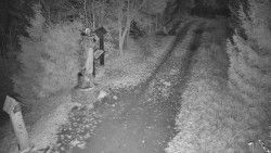 Bílá - běžecká trať