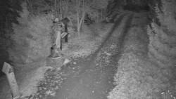 Bílá - běžecká trať