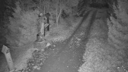 Bílá - běžecká trať