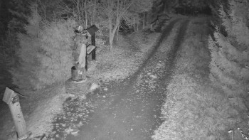 Snímek 6.11.2025 v 00:00