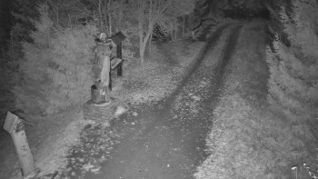 Snímek 6.11.2025 v 00:30