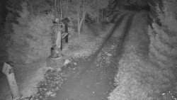 Bílá - běžecká trať