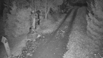 Snímek 6.11.2025 v 02:30