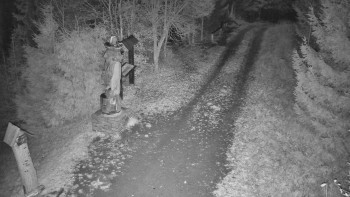 Snímek 6.11.2025 v 03:00