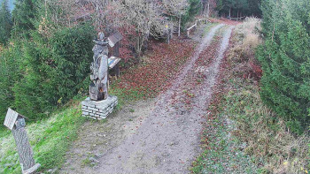 Snímek 6.11.2025 v 07:00