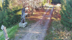 Bílá - běžecká trať