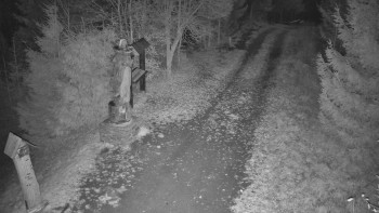 Snímek 6.11.2025 v 20:30