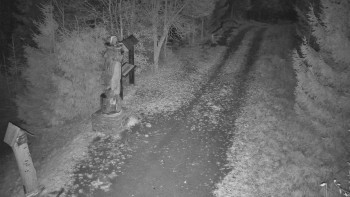 Snímek 6.11.2025 v 22:30