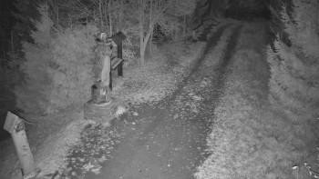 Snímek 6.11.2025 v 23:00