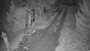 Skiareál Bílá - Bílá - běžecká trať - 7.11.2025 v 00:00 Skiareál Bílá - Bílá - běžecká trať - 7.11.2025 v 00:00