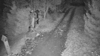 Snímek 7.11.2025 v 01:00