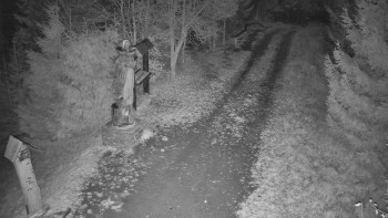 Snímek 7.11.2025 v 02:00