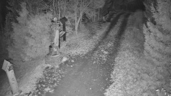 Snímek 7.11.2025 v 05:30