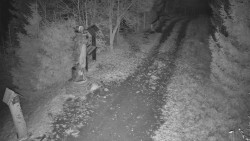 Bílá - běžecká trať