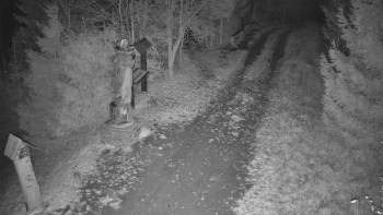 Snímek 7.11.2025 v 18:00