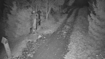 Snímek 7.11.2025 v 19:00