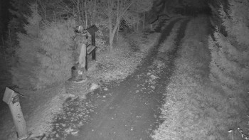 Snímek 8.11.2025 v 03:00