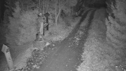 Bílá - běžecká trať