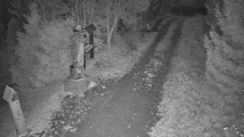 Snímek 8.11.2025 v 06:00