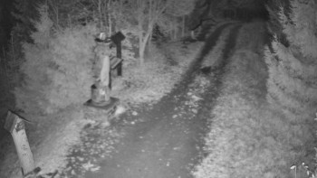 Snímek 8.11.2025 v 17:00