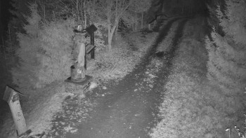 Snímek 8.11.2025 v 17:30