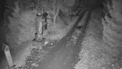 Bílá - běžecká trať