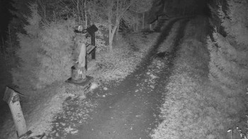 Snímek 8.11.2025 v 18:30