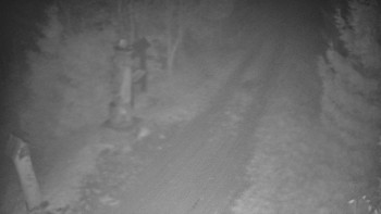 Snímek 8.11.2025 v 19:00