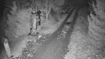 Snímek 8.11.2025 v 19:30