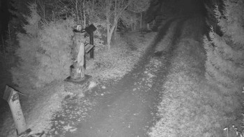 Snímek 8.11.2025 v 20:00