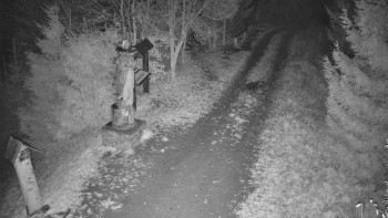 Snímek 8.11.2025 v 20:30