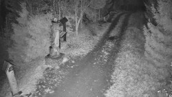 Bílá - běžecká trať