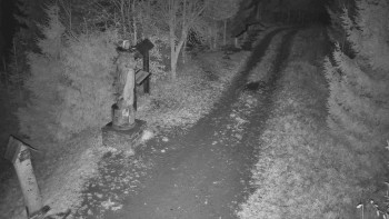 Snímek 9.11.2025 v 05:30